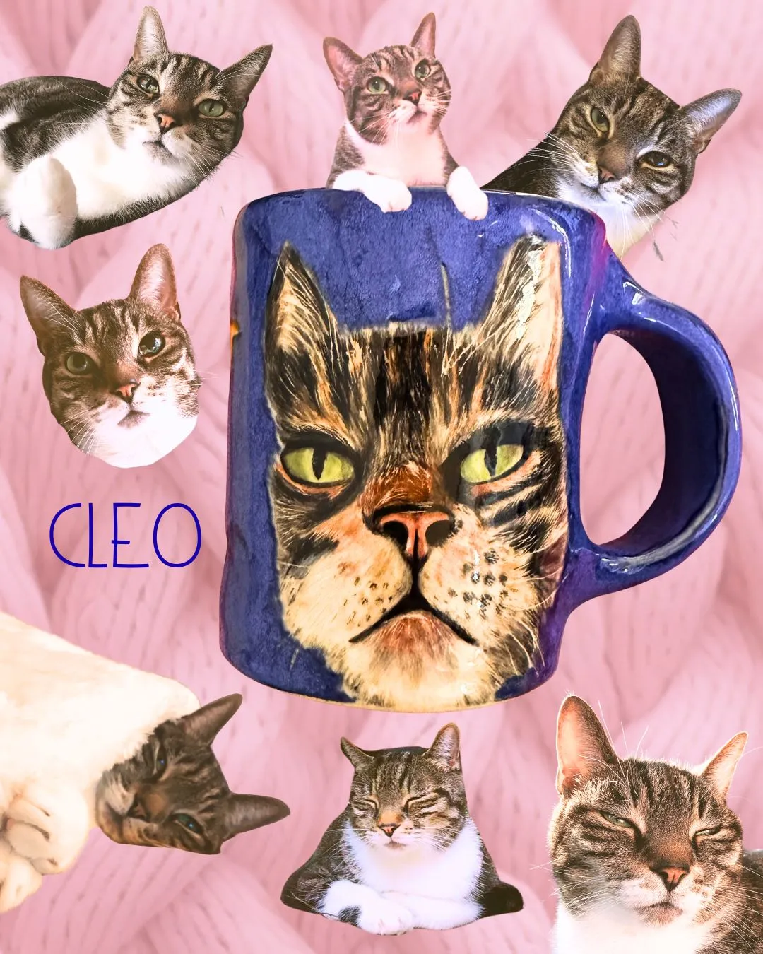 Cleo, Amanda's beloved pet who inspired All Good Pets